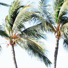 Virtuality (Prod. FORTY38 x CashMoneyAP)