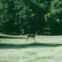 Y/N GUEST MIX 030 :: TSUKI's Spring Mix