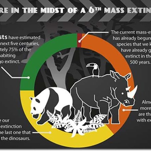 The Sixth Mass Extinction