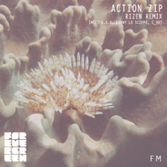 Action Zip - Rizen (C-983 Remix)_cut