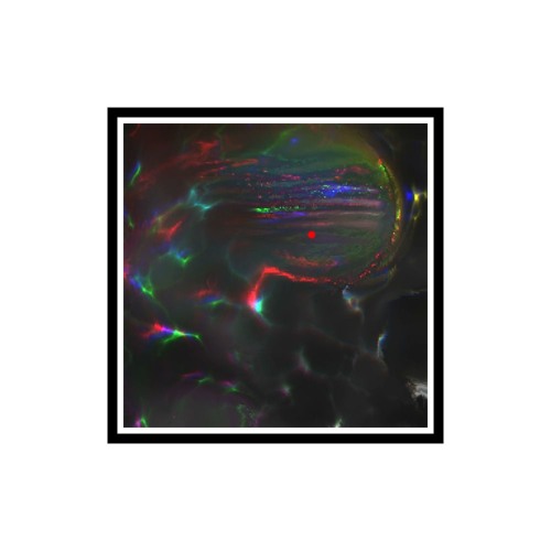 Petre Inspirescu - Mostra (Dcore Edit)