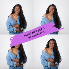 FUNX MINI MIX 1