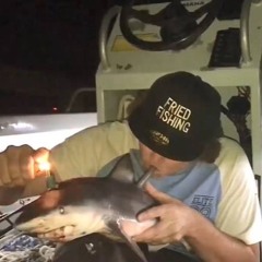 DuLDI (dJ CG ShARk BOnG JUiCeUP)