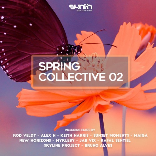 Rod Veldt - Sunny Days [Synth Collective]