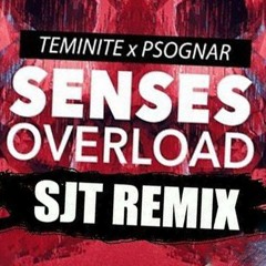 Teminite & PsoGnar - Senses Overload [SJT  REMIX]