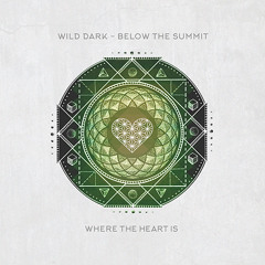 WTHI013 - Wild Dark - Below The Summit (DSF Remix)