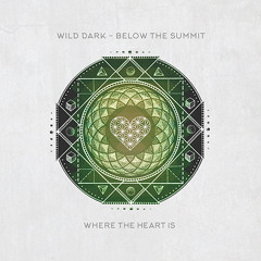 WTHI013 - Wild Dark - Below The Summit (Lovecraft Remix)