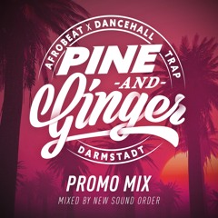 "Pine&Ginger" Party  | Promomix By New Sound Order