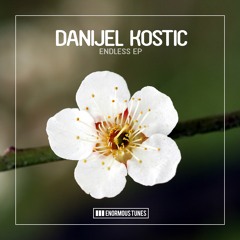 Danijel Kostic - Endless