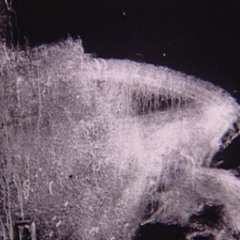 Only Nightmarish Things To Call Home