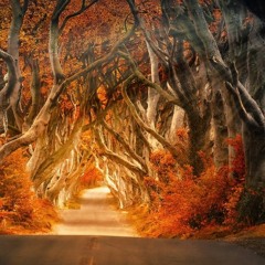 A Deep dUb Ambient Journey by M.S.