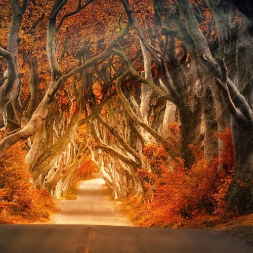A Deep dUb Ambient Journey by M.S.