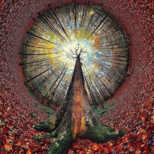 Max Marlon | Springride | Downbeat