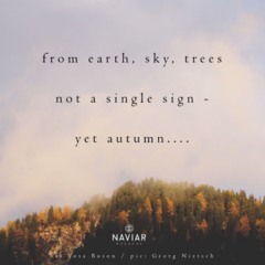 naviarhaiku274: from earth, sky, trees