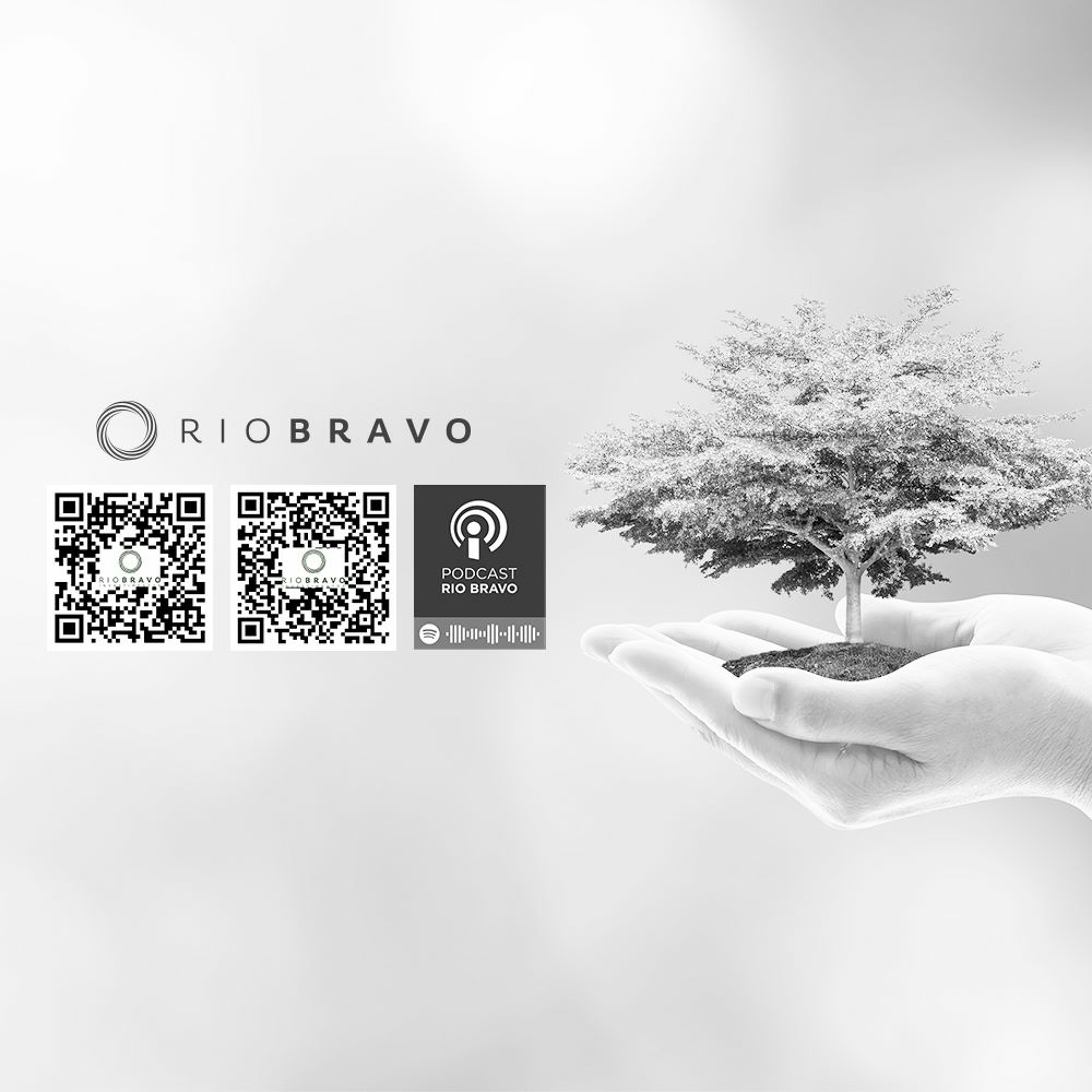 Podcast 535 – Roberto Nishio – O Parque Ecológico Imigrantes e a experiência da educação ambiental episode artwork