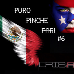 Puro Pinche Pari 6 (Latin Mixtape)