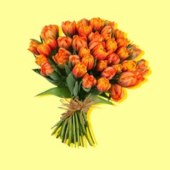 Everything's a Phase