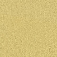 BoGo prod. 100Bulletz