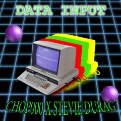 Data Input (Chop000 x Stevie Durag) $100