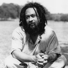 Reggae - Dub