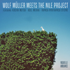 PREMIERE: Wolf Müller meets the Nile Project feat. Kasiva Matua - Mabomba Dance [Nouvelle Ambiance]