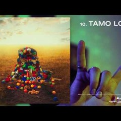 ysy a - tamo loco