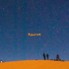 Schneckenhouse in der Wüste