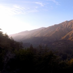 Couldn't Love You More (john martyn cover)