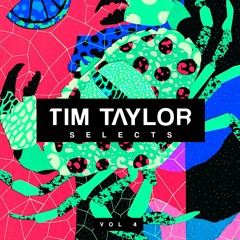 Tim Taylor Selects #004