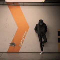 What It Took (Prod. by BearMakeHits)