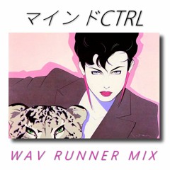 WAV RUNNER MIX