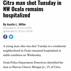 GreenLight Skooby X "REDRUM"