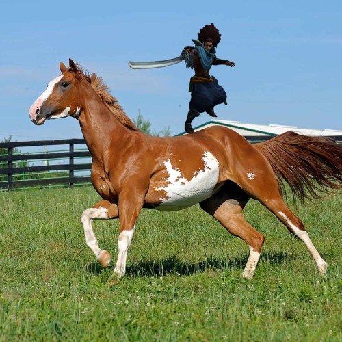 Horses In The Yasuo