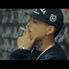 CHIKIS RA VIDA PERRONA 2019