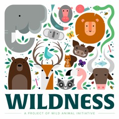 1. Who Cares About Wild Animals?