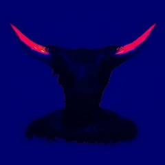 Single - CHERRY BLOSSOM