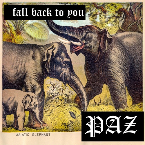 Fall Back To You (feat. Nick Broadhurst)