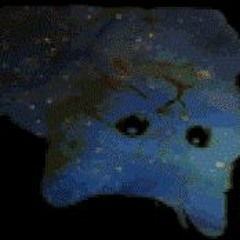 Midnight Cat Just For Midnight