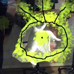 Midnight Cat Just For Midnight ###%%%$$$^^^***+++