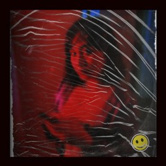 FEEL (feat. Radinal)