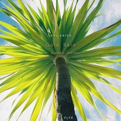 Gold Skin ft. Alfred Jasper