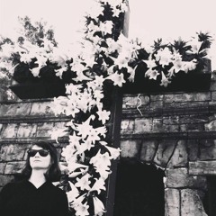 Born To Be (The Bad Guy) Live At Levitt Shell