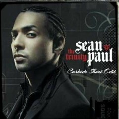 Sean Paul - Temperature (Carbide Short Edit) *Press Buy For Full Version