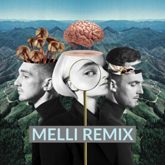 Clean Bandit - Mama (feat. Ellie Goulding) [Melli Remix]