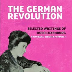 The German Revolution: 5. The Acheron in Motion