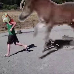 ExileLord being chased by a hors