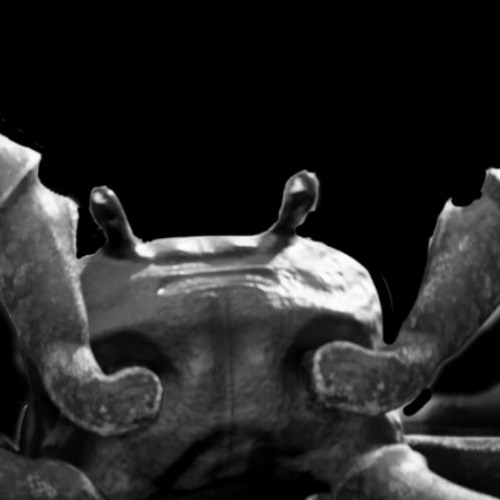 Crab Rave (Noisestorm Cover)