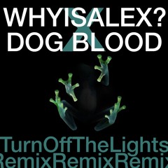 Dog Blood - Turn Off The Lights (WHYISALEX? REMIX)
