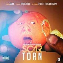 SCAR feat. Jungleyard BW & Luzkat - Torn