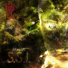 Nargun - S . S . I